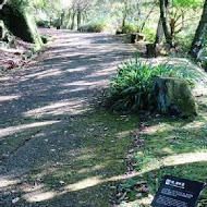 台灣農林熊空茶園