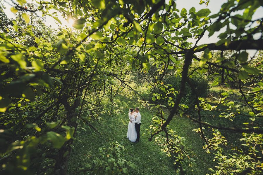 Fotógrafo de casamento Bogdan Mikhalevich (mbphoto). Foto de 10 de dezembro 2018