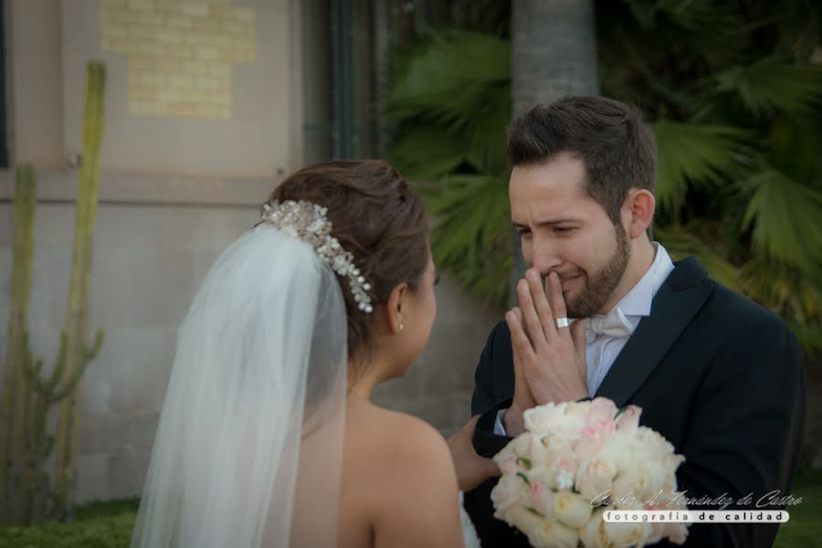 Bryllupsfotograf Carlos Fernández De Castro (carlosfernandez). Bilde av 14 november 2015