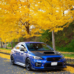 WRX STI VAB