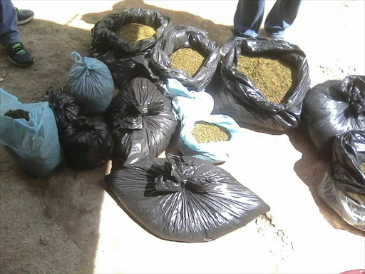 JMPD K9 cracks down on drug dens in Turffontein. Picture Credit: supplied by Mayor's office.