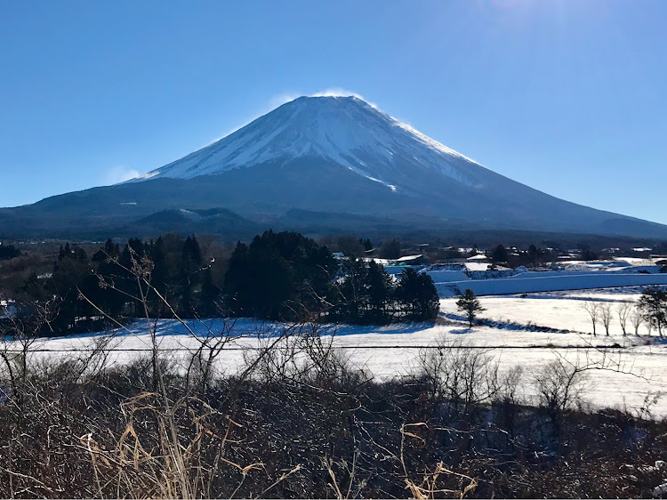 の投稿画像4枚目