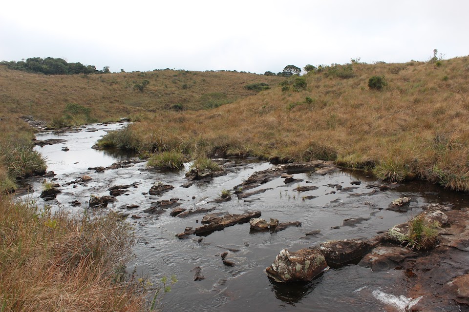 штат Rio Grande do Sul - 8 дней