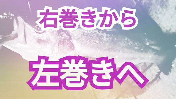 ポキオ輪業商会 右巻き 左巻き 矯正