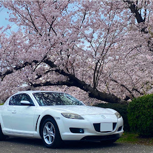 RX-8 SE3P