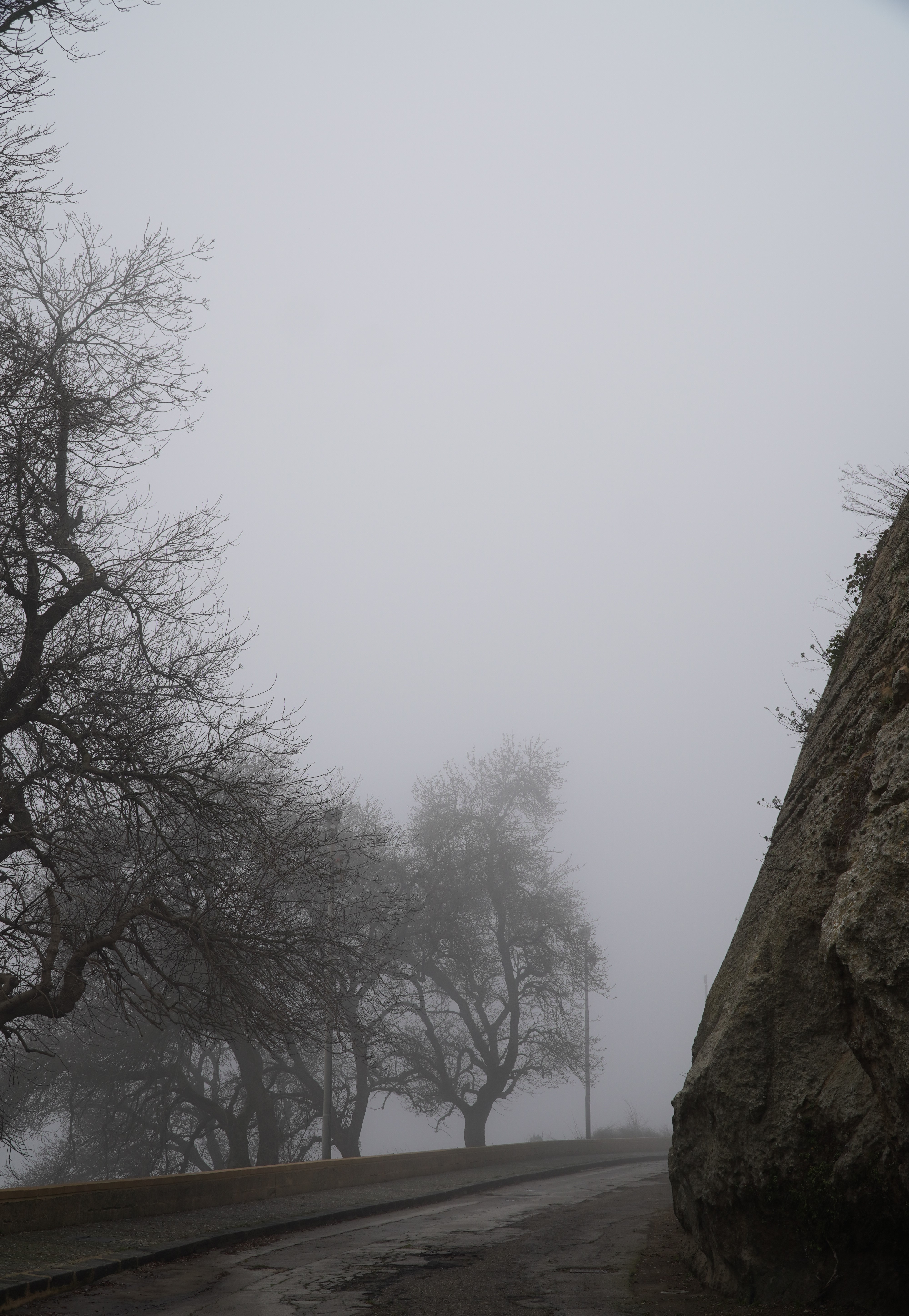 Nella nebbia di Ruben