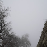 Nella nebbia di Ruben