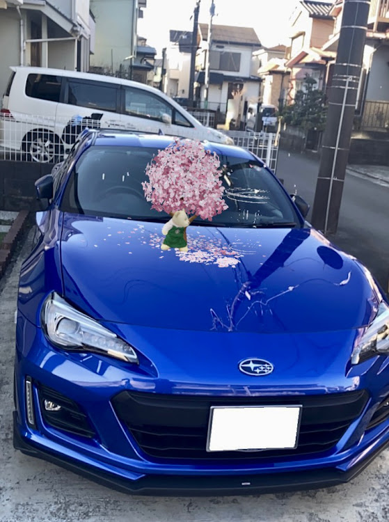 BRZのさくらカシスストロベリー白玉フラペチーノ・朝スタ♪( 'ω' و(و フリフリ・サクラドーナツ🍩🌸・サクラ咲かせてみた🌸に関するカスタム事例の投稿画像9枚目