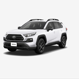 RAV4 MXAA54