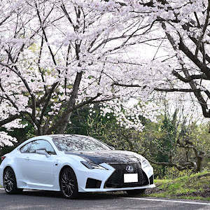 RC F USC10