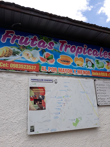 Opiniones de Frutas Tropicales en Quito - Frutería