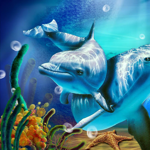 免費下載個人化APP|Sea Dolphin Live Wallpaper app開箱文|APP開箱王