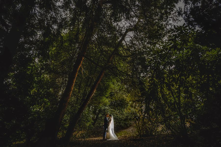 Photographe de mariage Pete Farrell (petefarrell). Photo du 28 avril 2016