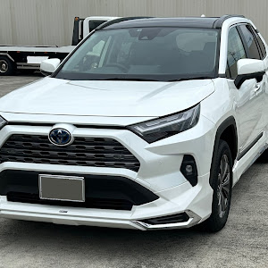 RAV4 AXAH52