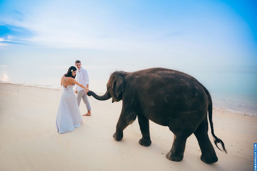 Fotógrafo de casamento Dimas Frolov (dimasfrolov). Foto de 24 de agosto 2016