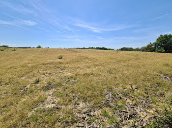 terrain à Sainte-Marie-de-Gosse (40)