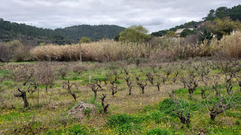 terrain à Pierrefeu-du-Var (83)