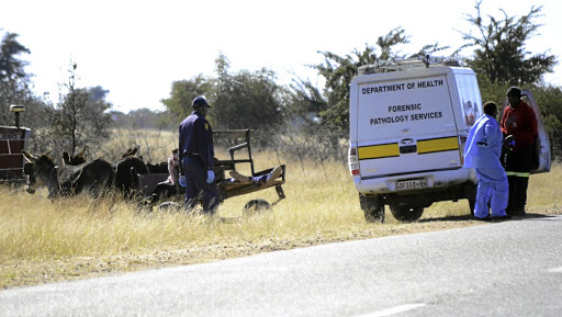 Authorities collect Lucky Lebese's body after he died in a donkey cart.