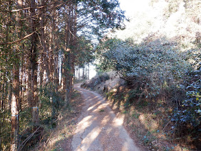 次第に山道に