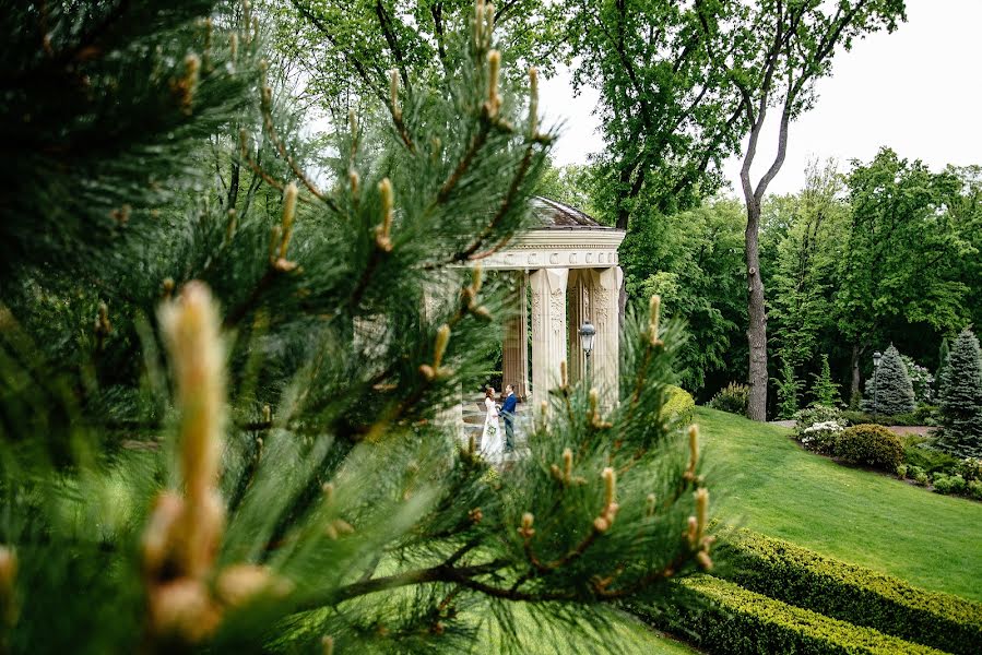 Fotógrafo de casamento Dmitriy Tomson (thomson). Foto de 25 de julho 2016