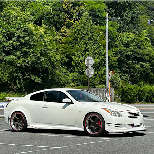 スカイラインクーペ CKV36