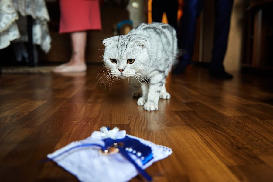 Bröllopsfotograf Maksim Chikhnyaev (maxchih). Foto av 30 september 2015