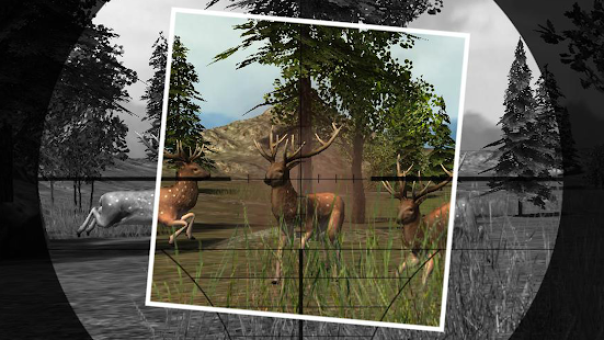 Lastest Moose Hunting 2016 APK
