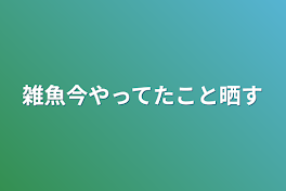 雑魚今やってたこと晒す