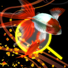 Goldfish Dream　goldfish scoop & goldfish breeding 1.1.5