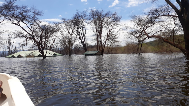 What used to be the Kenya Wildlife Service office and canteen are submerged in Lake Nakuru. The lake has been swelling since early 2013.