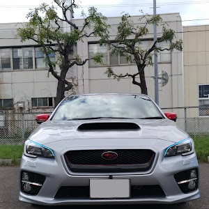 WRX S4 VAG