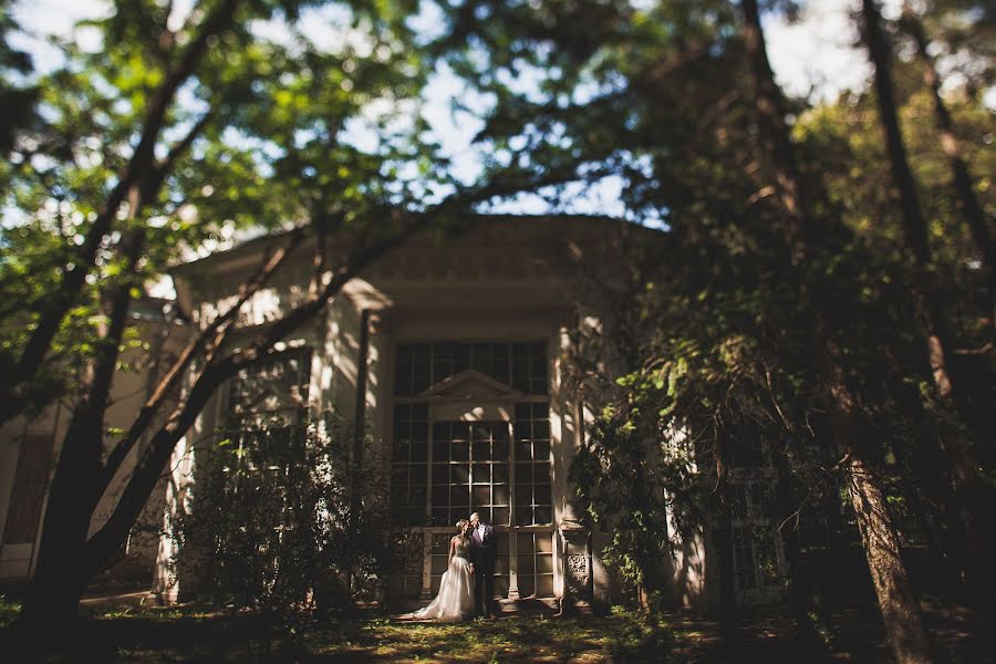 Fotografo di matrimoni Evgeniya Batysheva (b-bee). Foto del 17 agosto 2015