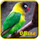 Lovebird Paud MP3 icon