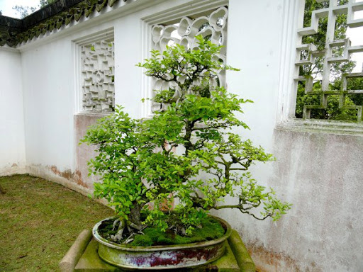 The Chinese Japanese Gardens Singapore2010