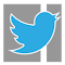 Item logo image for TwitColumns for Twitter