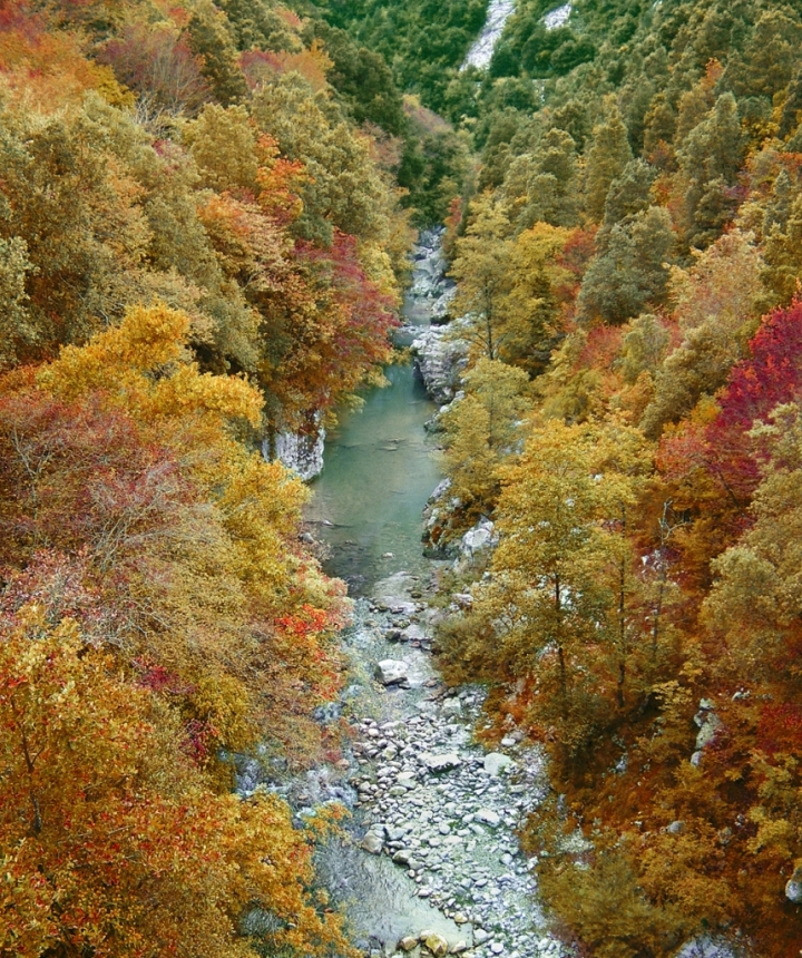 Felitto di Ciotta