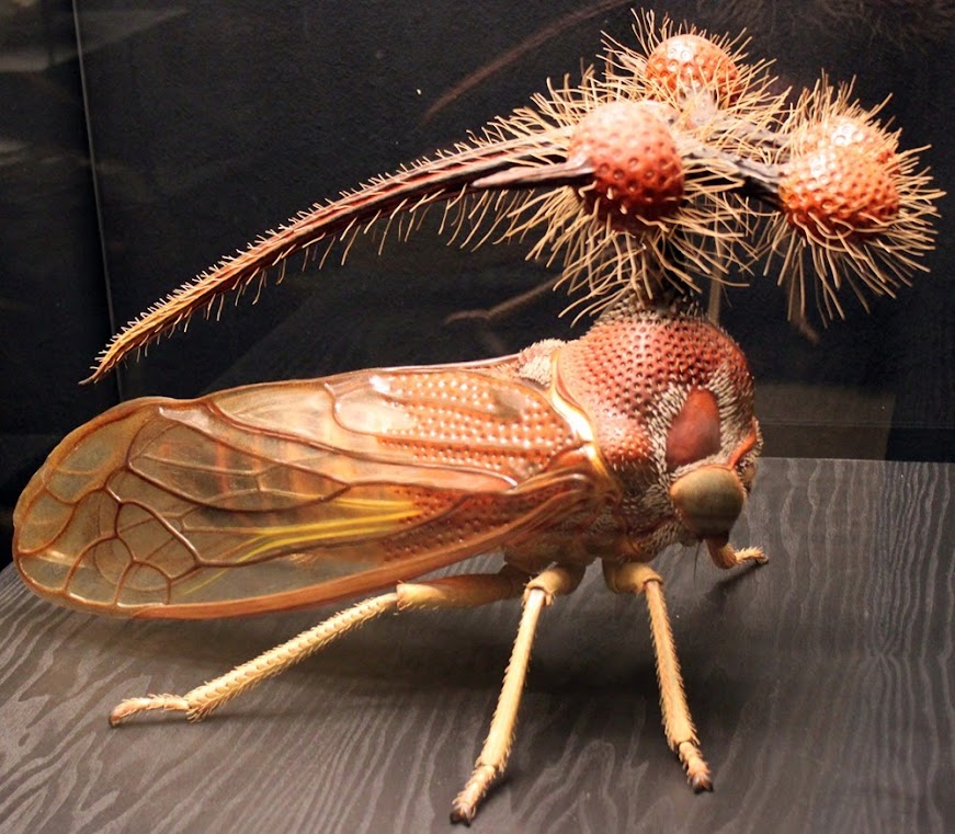 Os incríveis insetos de Alfred Keller