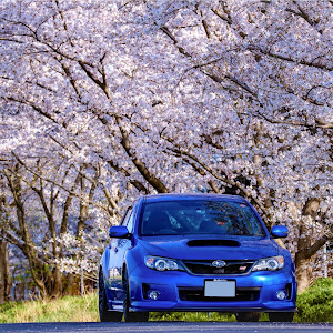 インプレッサ WRX STI GRF