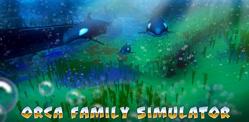 Orca Family Simulator