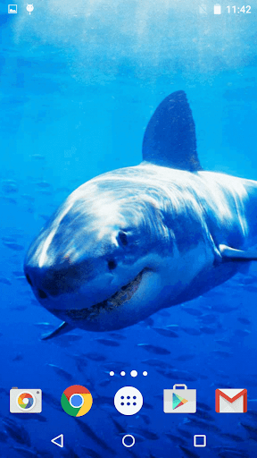 Sharks Live Wallpaper