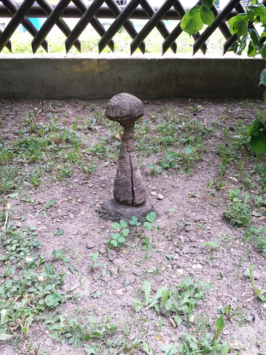 Wooden Mushroom