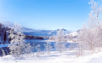 寒くないけど寒い雪