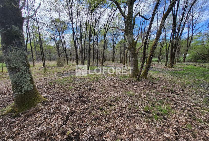  Vente Terrain à bâtir - 2 313m² à Moustey (40410) 