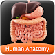 HumanAnatomy-Digestive Install on Windows