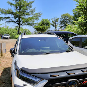 RAV4 AXAH54