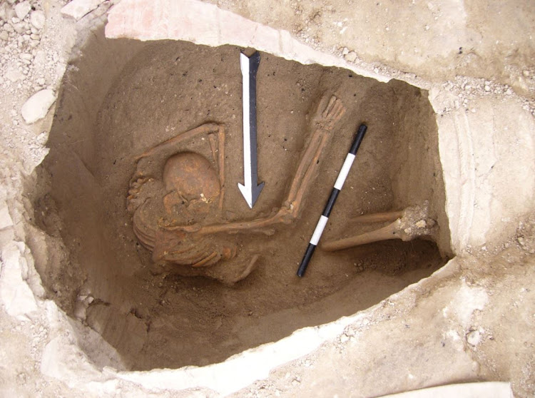 One of the ancient Canaanite skeletons examined by Marc Haber's team.