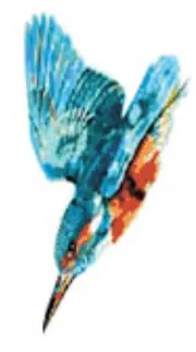 Kingfisher White Services Ltd Logo