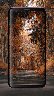 4K HD Wallpapers - Unlimited Latest Wallpapers(圖2)-速報App