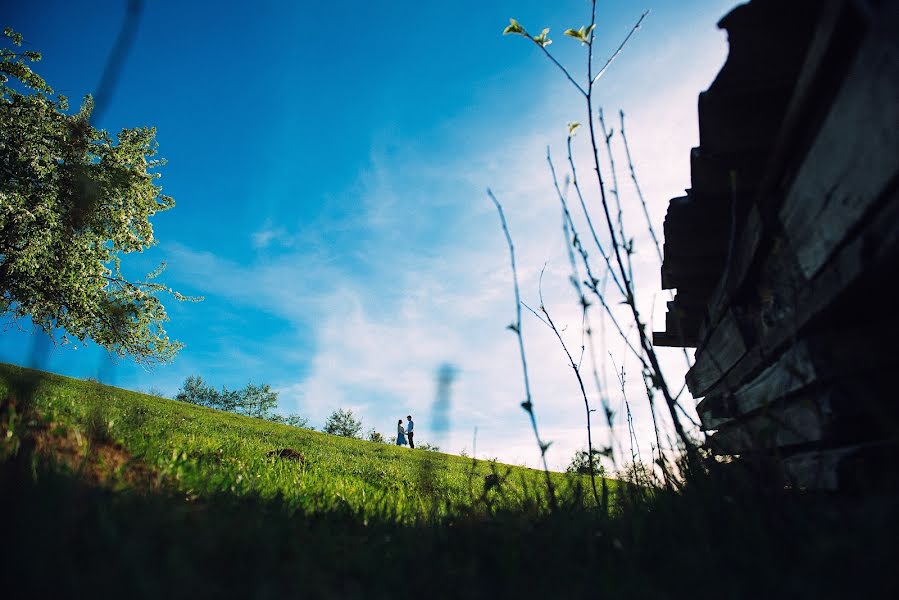 Bryllupsfotograf Oleksandr Cubera (alexsova). Bilde av 12 mai 2018