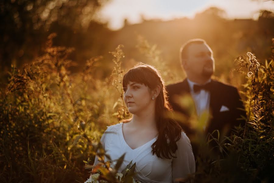 Wedding photographer Grey Mount (greymountphoto). Photo of 28 October 2018